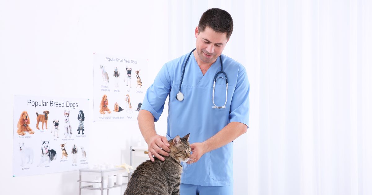 60+ اقتراحات أسماء عيادات بيطرية مميزة تجذب العملاء