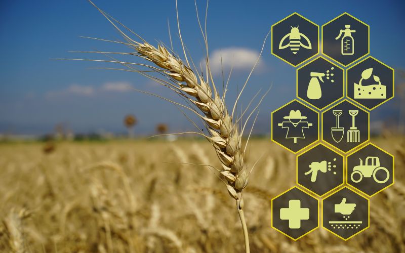 70+ اقتراحات أسماء شركات زراعية: بالعربية و الانجليزية